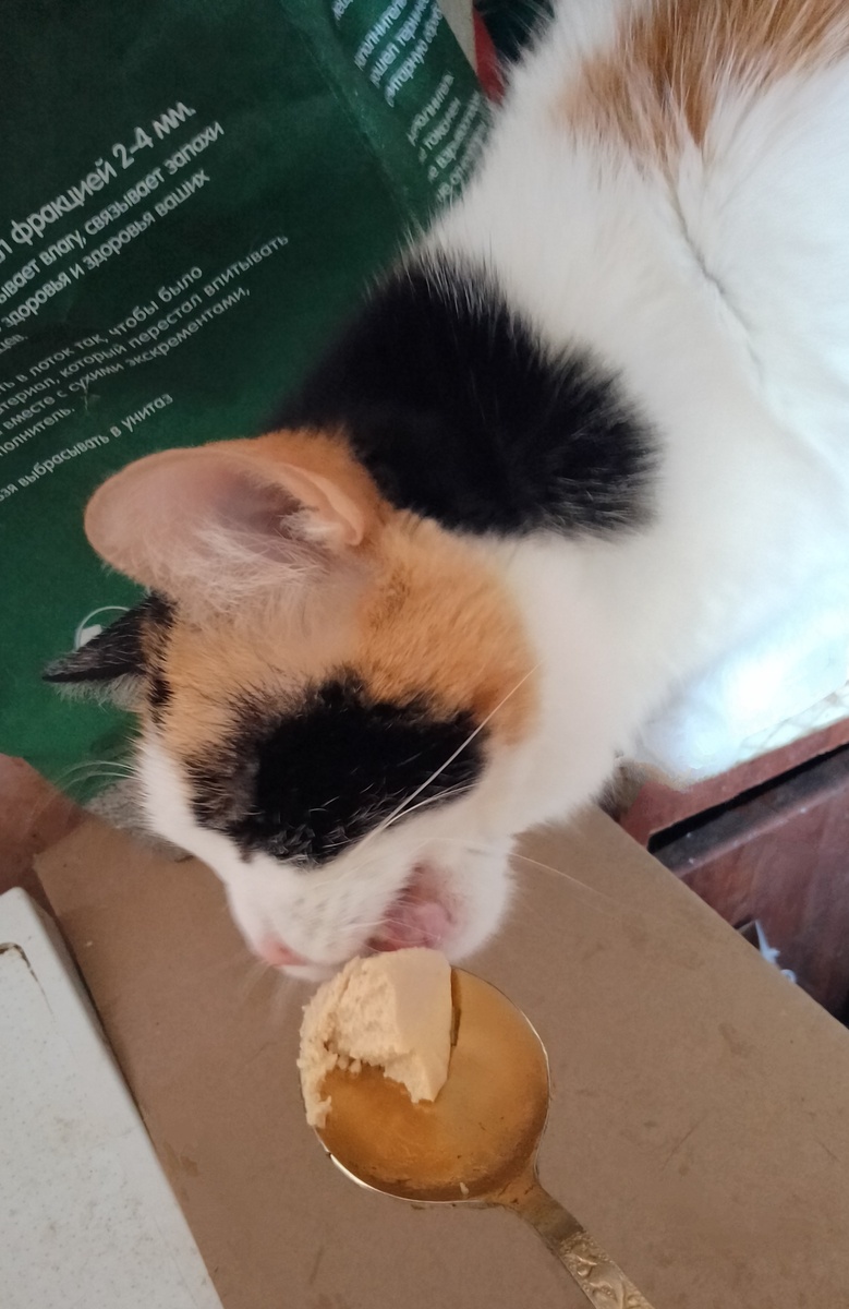 Умняша икорный фанат