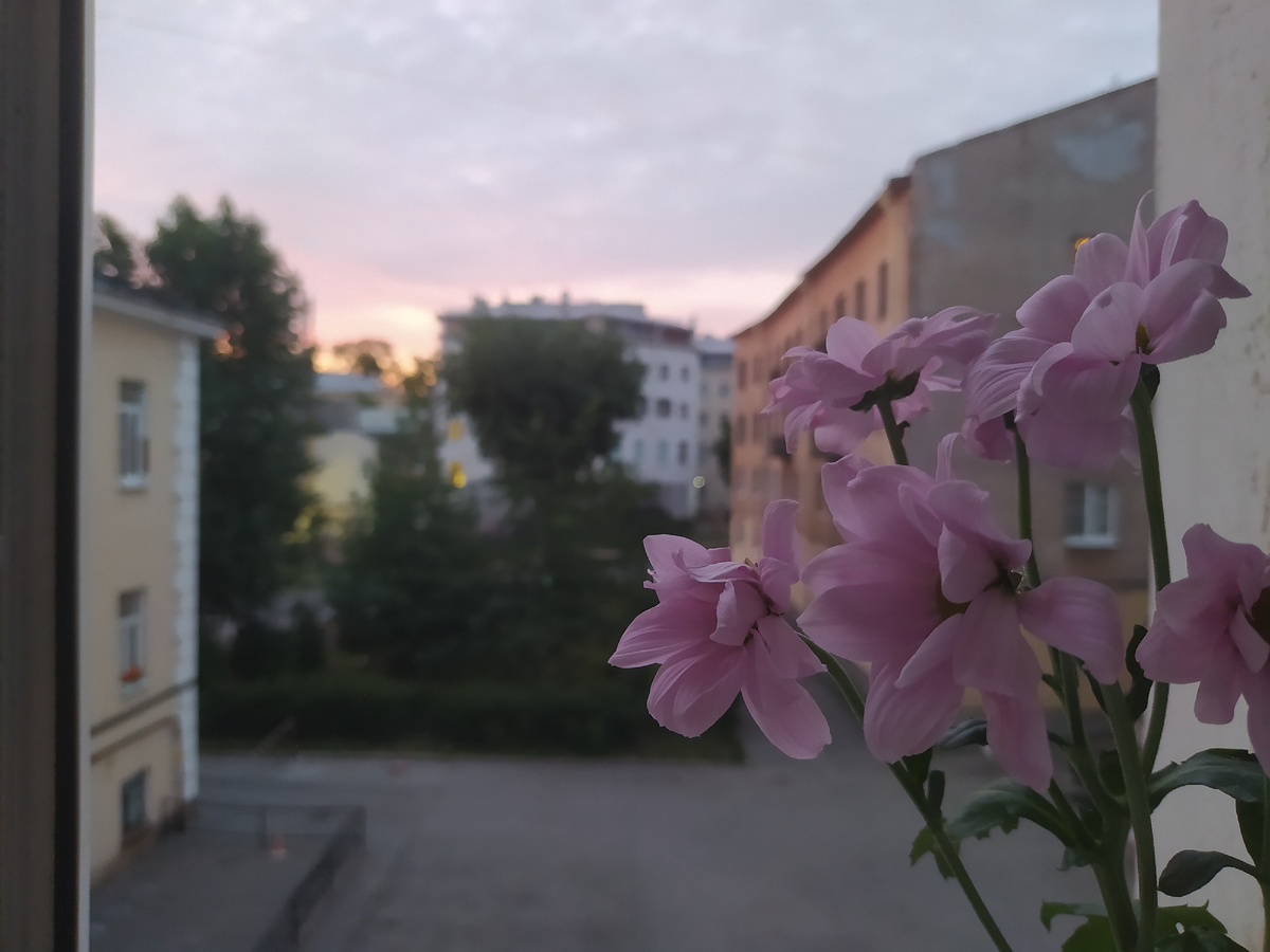 Белые ночи. Фото автора