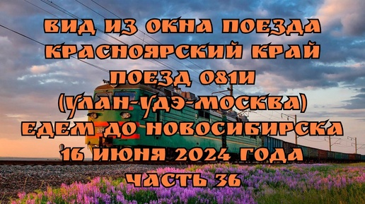 Вид из окна поезда/ Красноярский край/ Поезд 081И (Улан-Удэ-Москва)/ Едем до Новосибирска/ 16 июня 2024 года/ Часть 36.