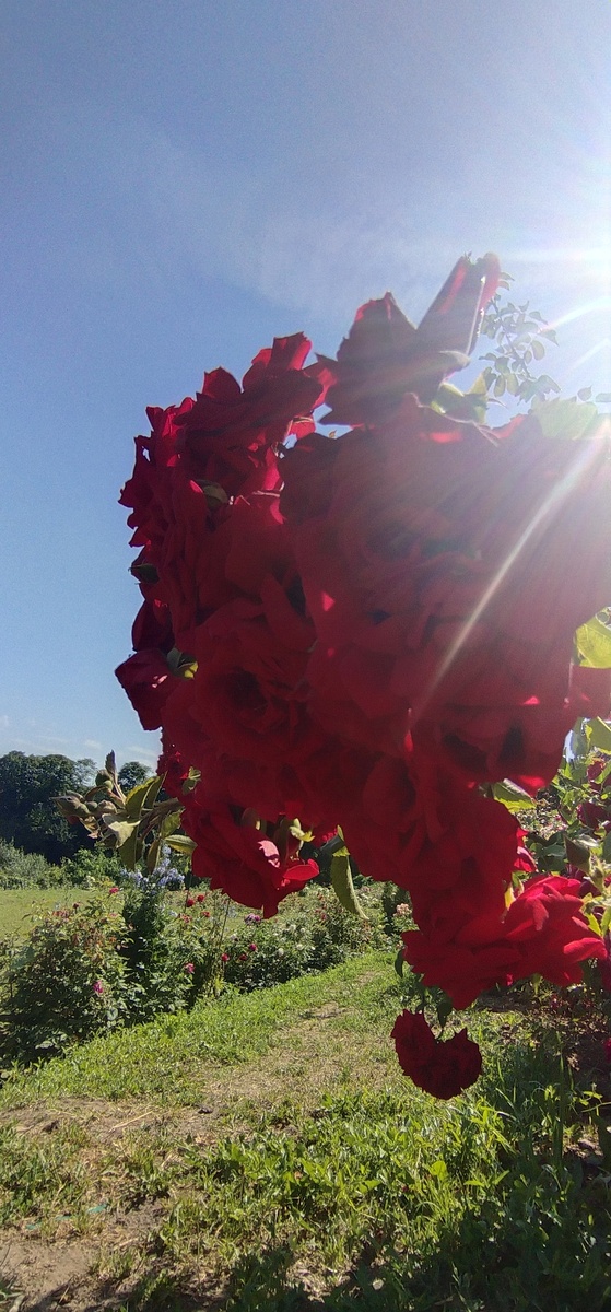 Личное фото