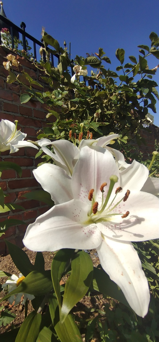 Личное фото