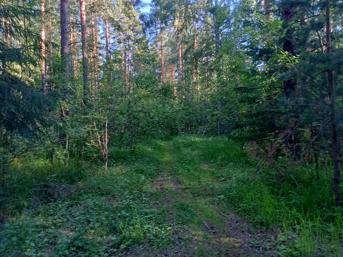 на восточной тропе