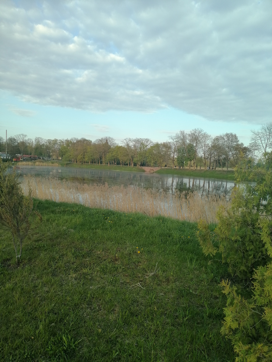 Бернардинский пруд