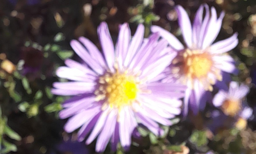 Некроз. Глава 2, ч.2