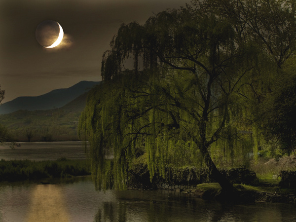 Изображение из открытых источников