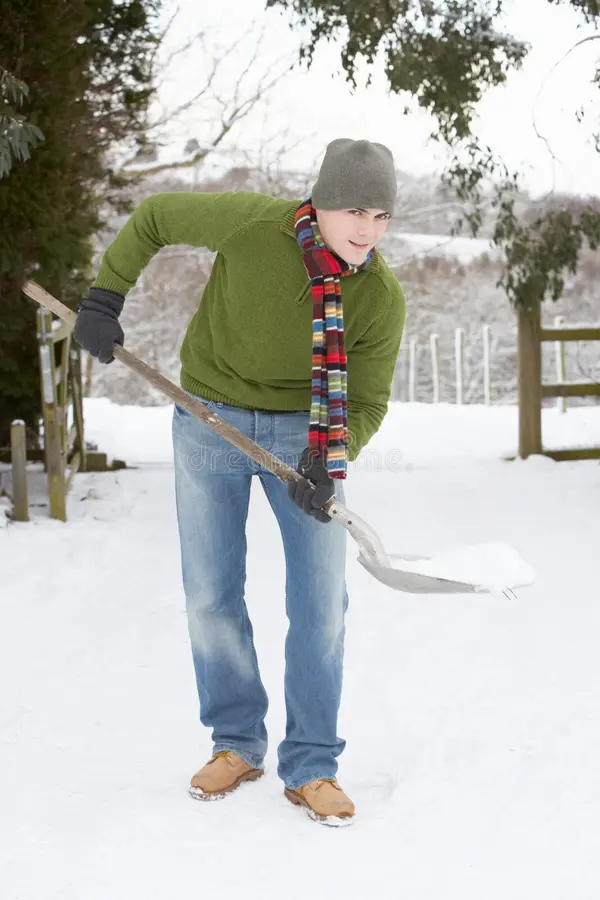 Фото Яндекс картинки.