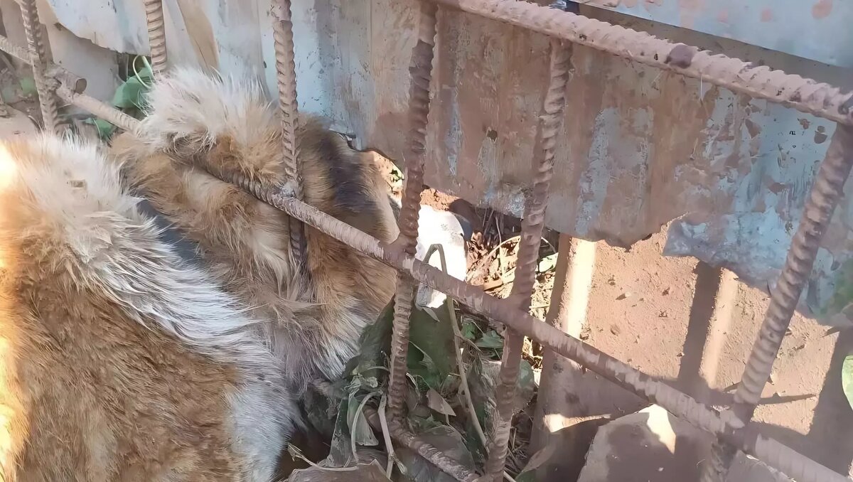     Источник: ПСС по УР