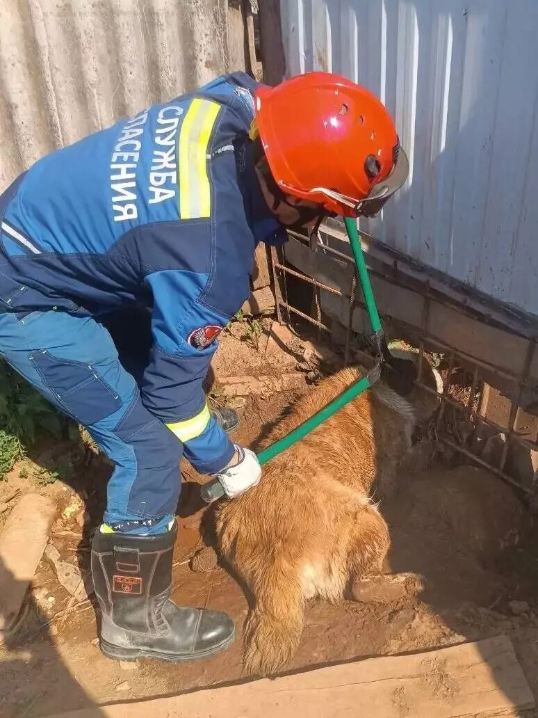     Источник: ПСС по УР