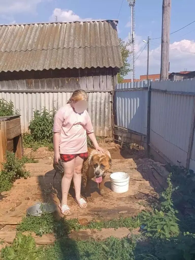     Источник: ПСС по УР