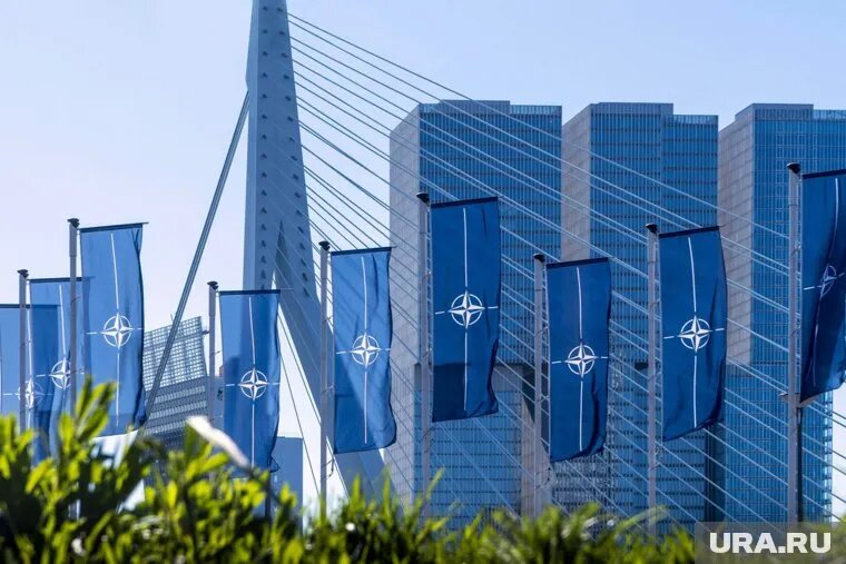 Члены НАТО заявили, что России нельзя оказывать никакой поддержки. Фото: NIDS/NATO Multimedia Library