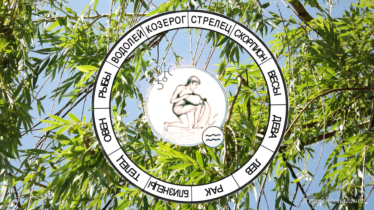 Гороскоп для Водолея с 8 июля по 4 августа 2024. 