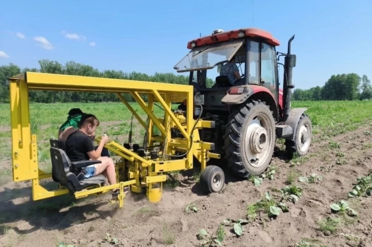    В Красноярском крае аграрии получат поддержку на 490 млн рублей