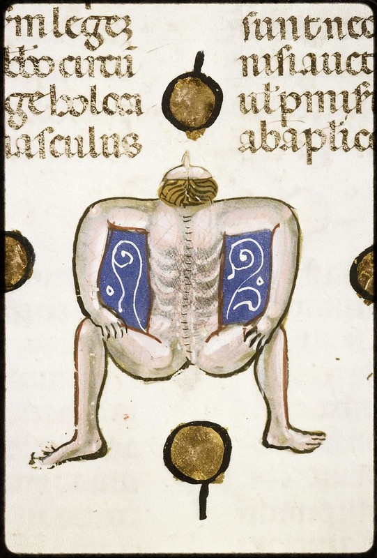 Хорошие декреталии. И картинки интересные...