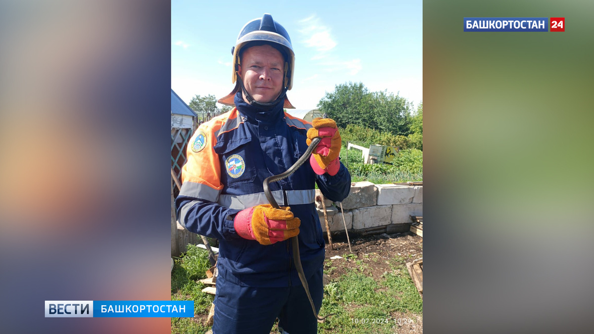   На территории детской площадки в Башкирии поймали змею