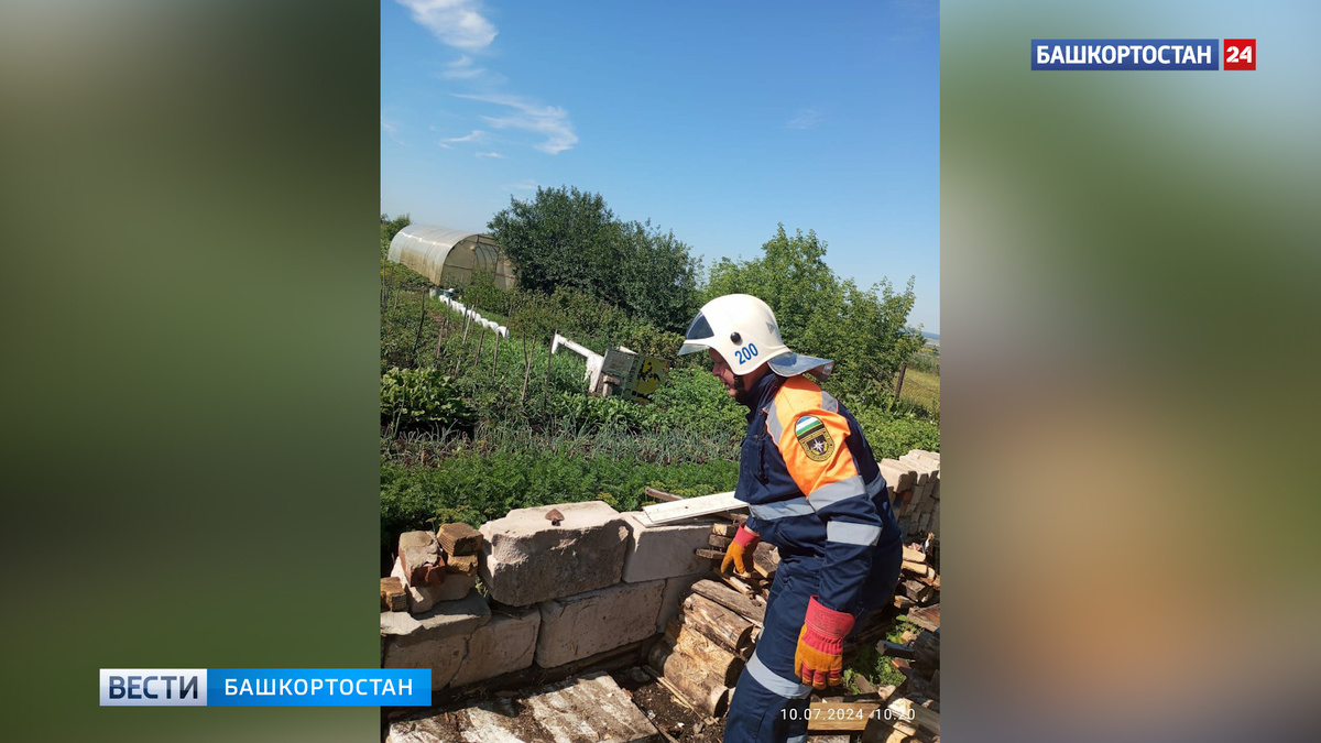    На территории детской площадки в Башкирии поймали змею