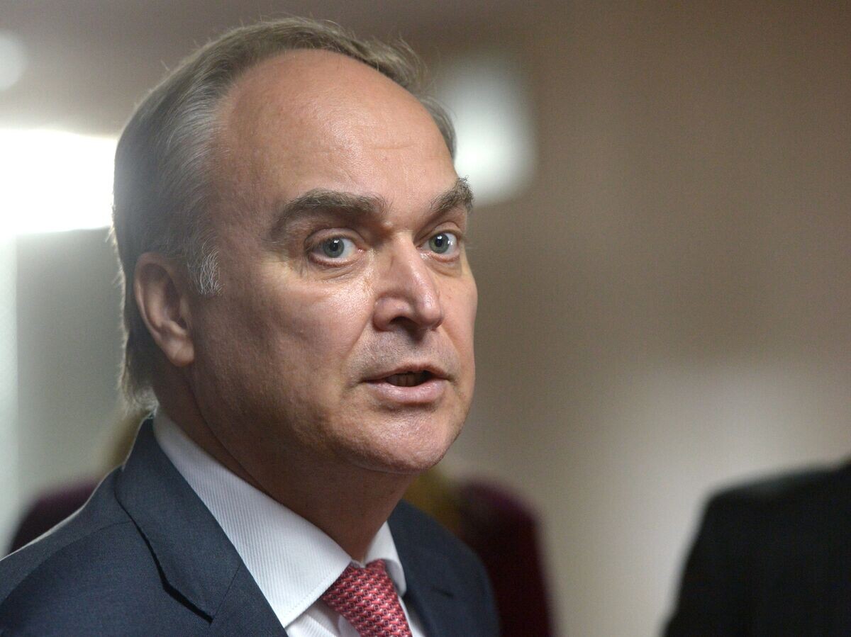    Заместитель главы МИД Анатолий Антонов посетил Госдуму РФ. 18 мая 2017 © РИА Новости / Григорий Сысоев