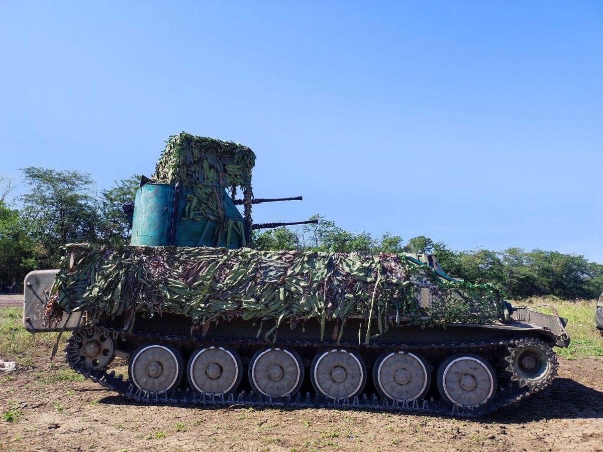    Изображение @milinfolive 