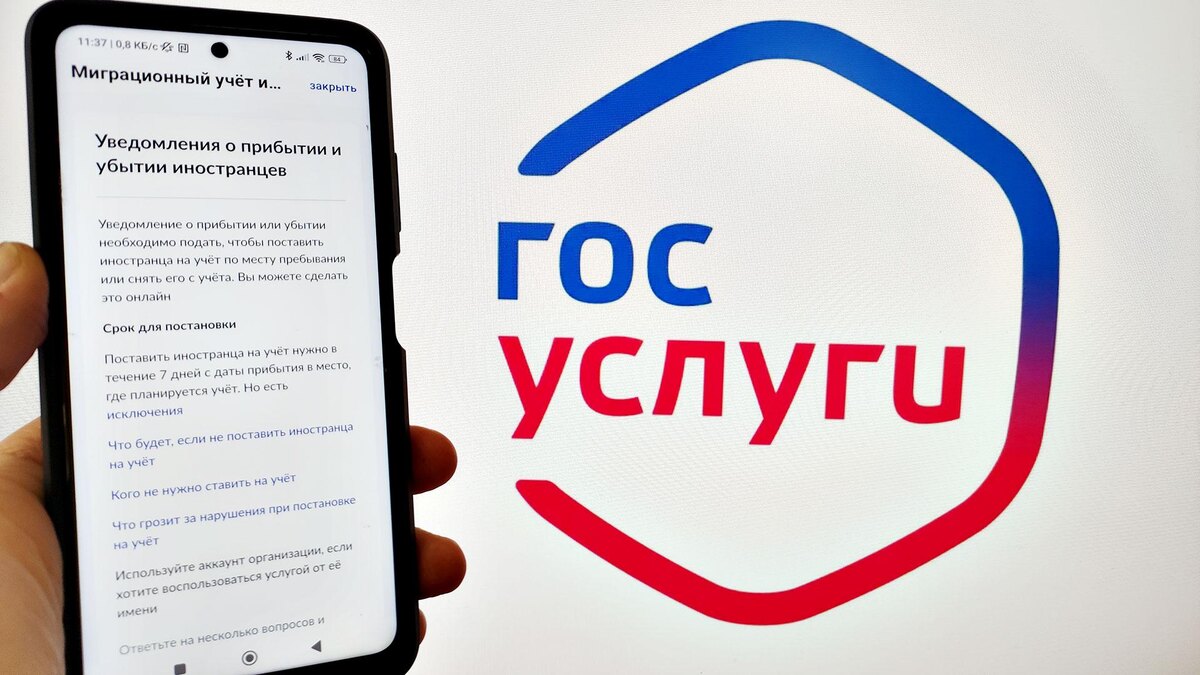 Источник: flectone.ru