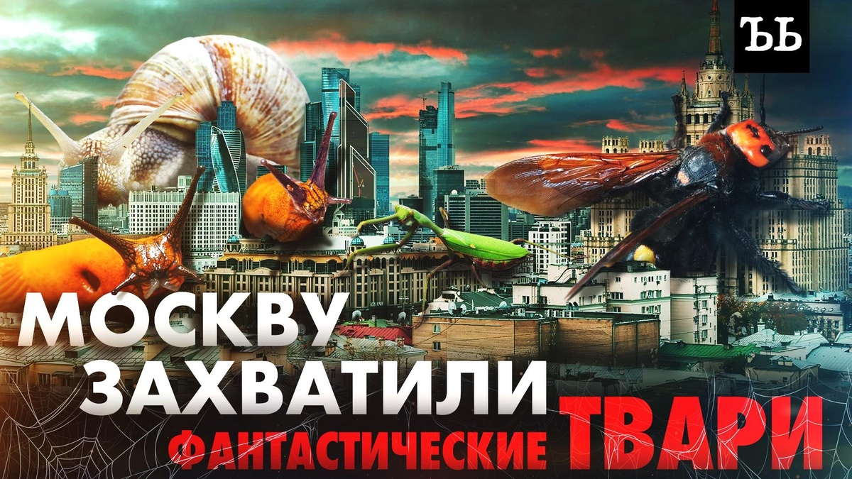    Фантастические твари: кто вместе с жарой пришел в столицу