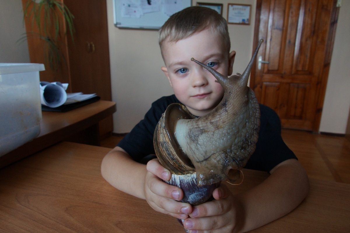  Глеб Савченко обожает своего необычного питомца — африканскую улитку по кличке Лёха. / Фото А. Толстых