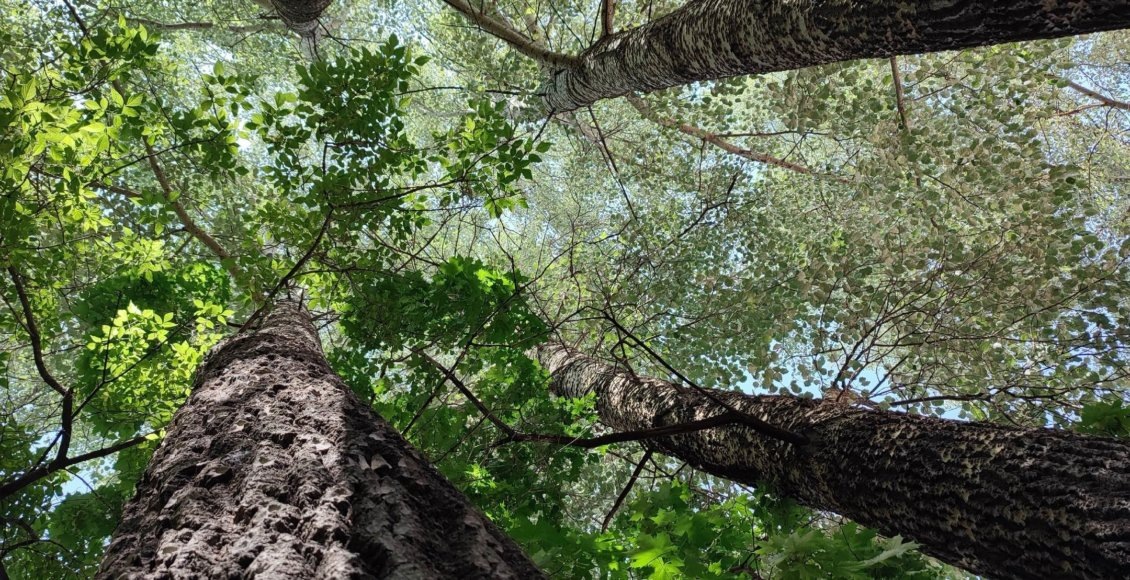    Фото: Надежда Баглей