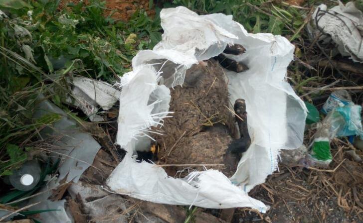    Источник фото: соцсети