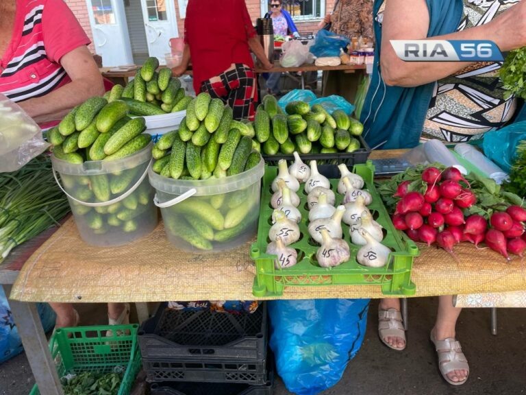    Летом на грядке, зимой на столе. Сколько стоит оренбуржцам закатать соленья на погребок Андрей Севостьянов
