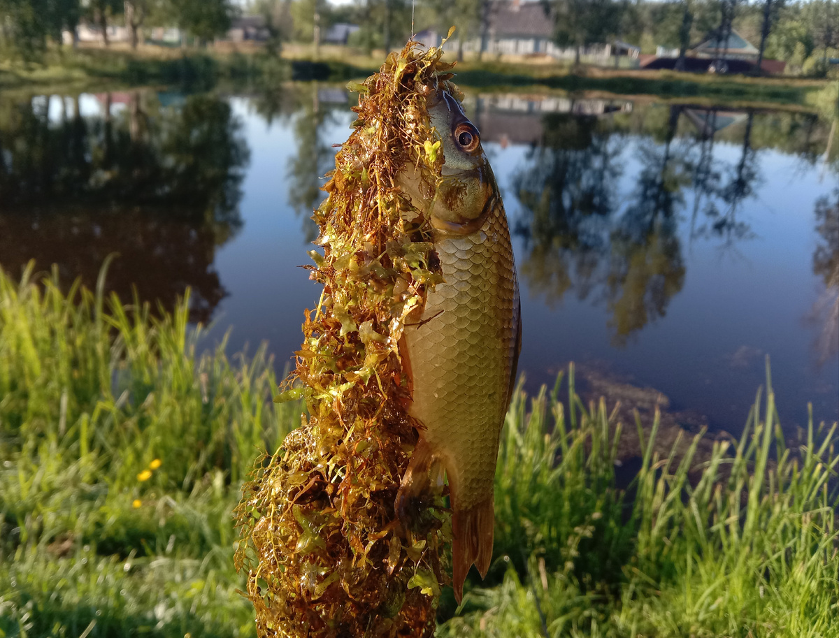 Кто не спрятался, я не виноват )))