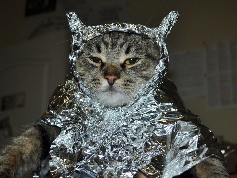    Гендиректор Google DeepMind: сейчас ИИ не умнее кота