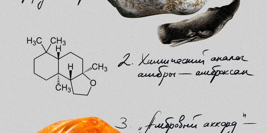 Парфюмерный инсайт: поговорим об амбре?