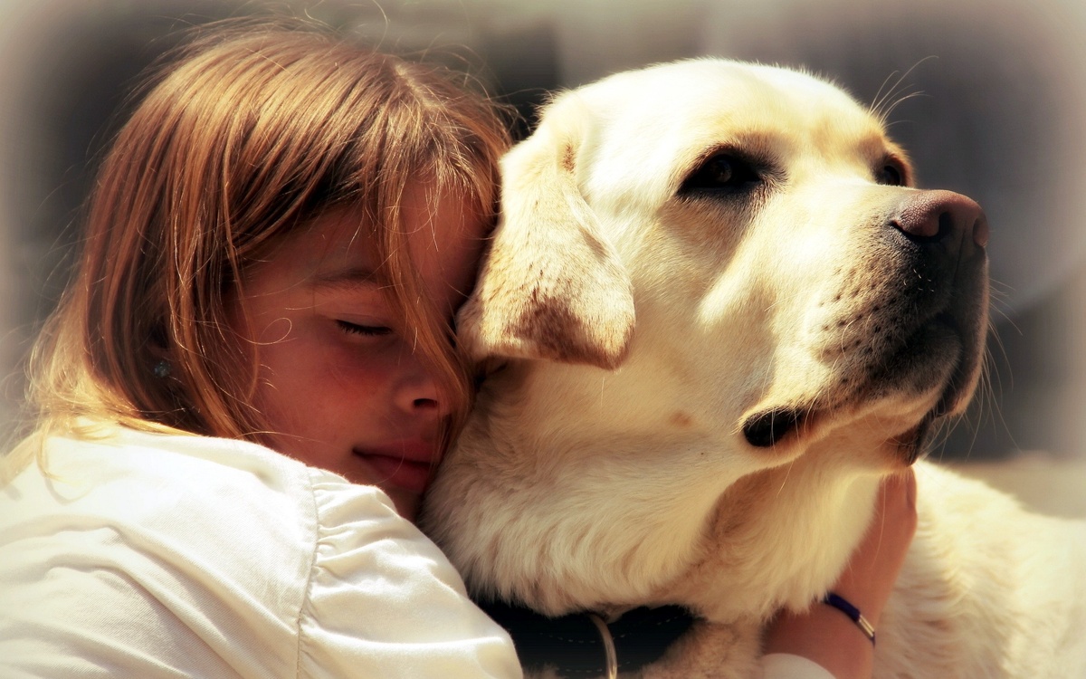 Люди часто выражают свою любовь и привязанность к собакам через объятия, но исследования показывают, что собаки могут воспринимать такой контакт совсем иначе.