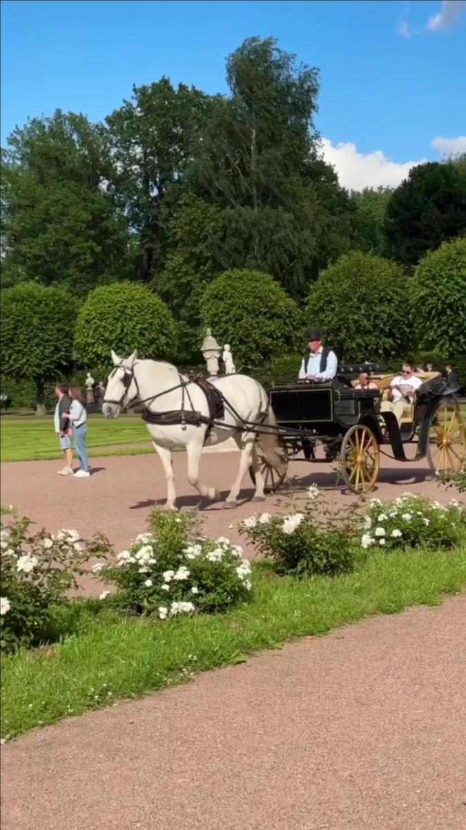 Авторское фото