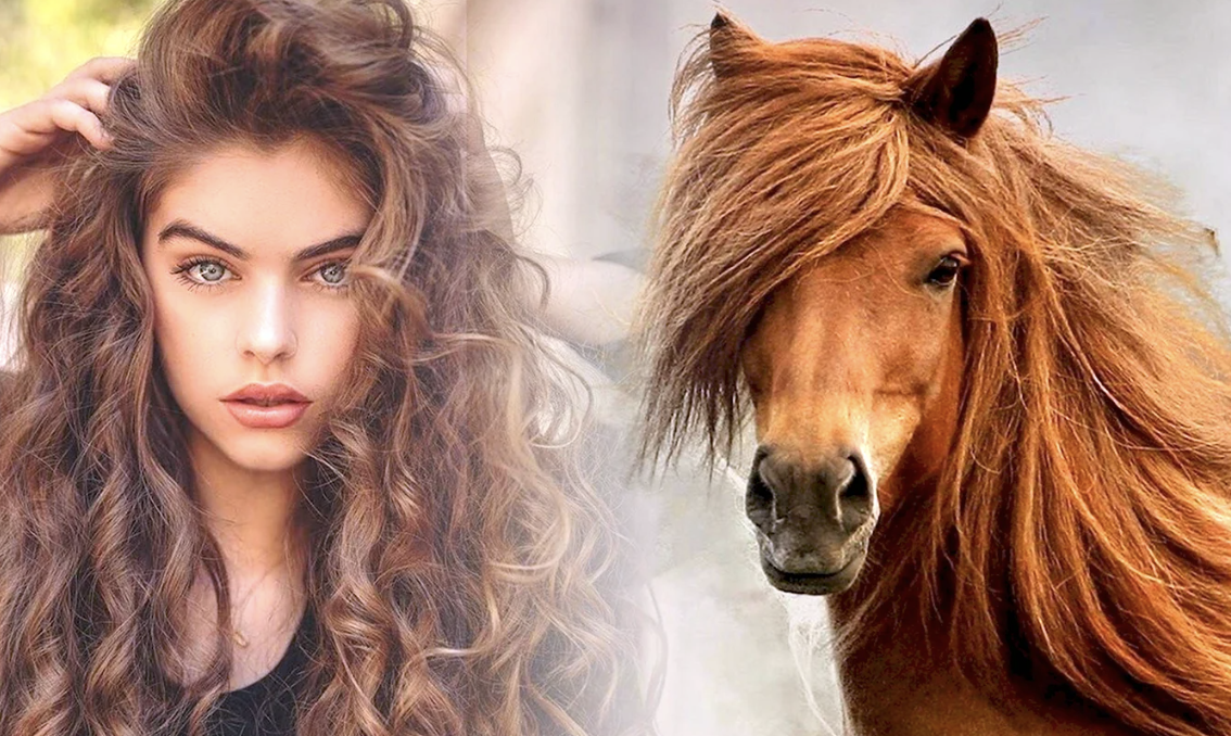 Lion Hair Tutorial - Halloween - YouTube