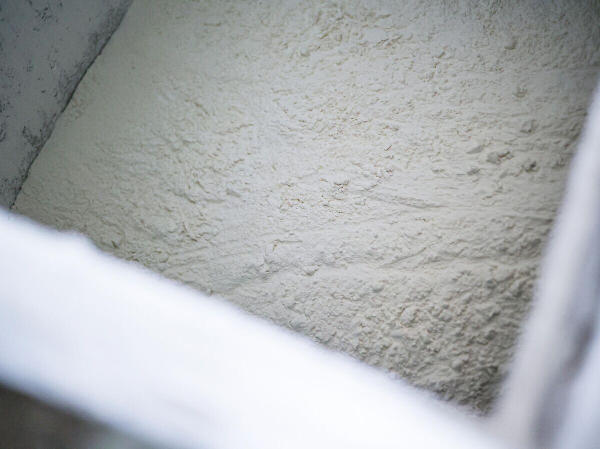    Мука в бункере после помола© РИА Новости / Виталий Тимкив