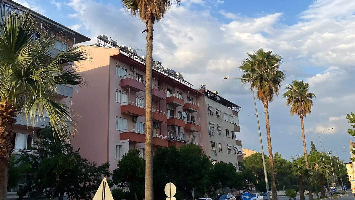     Источник: 1MI