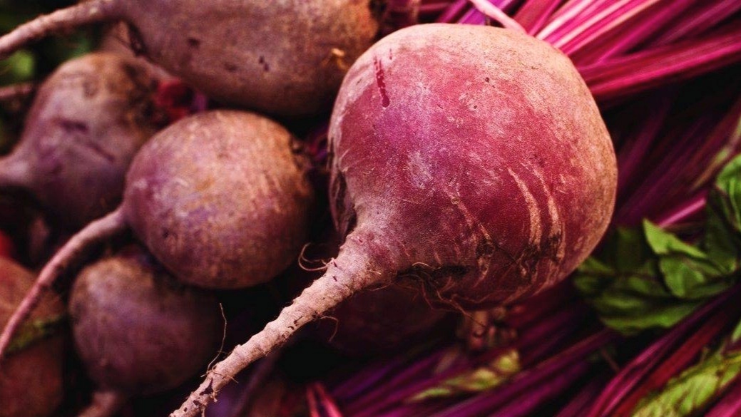Для получения вкусной свеклы, которая будет долго храниться, не достаточно ее просто поливать