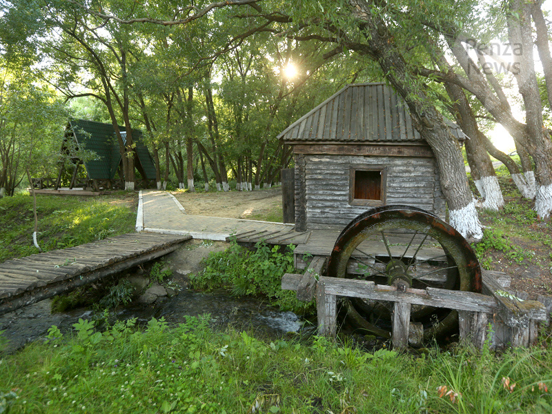    © Фото из архива ИА «PenzaNews»