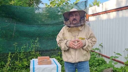 Лечим отводки от варроатоза пчел. В жару. Видео по пчеловодству для начинающих 2024