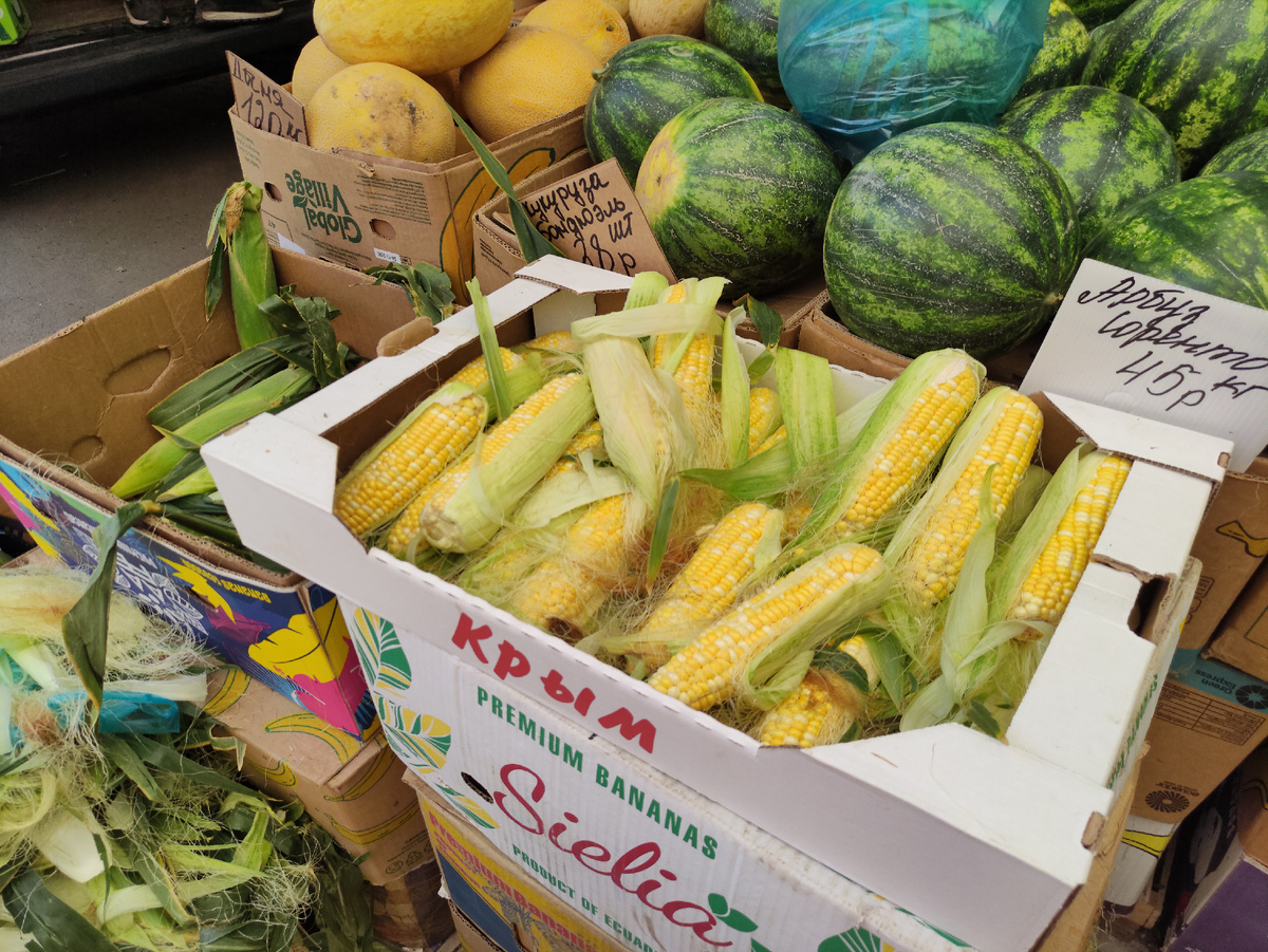 Краснодар, 2024 год. Фото автора