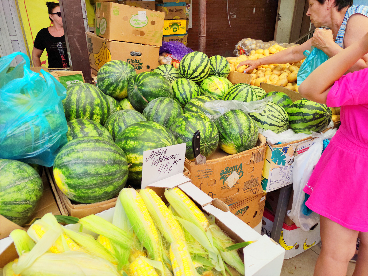 Краснодар, 2024 год. Фото автора