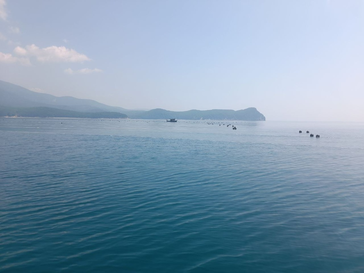     Источник: maglipogoda_kanal