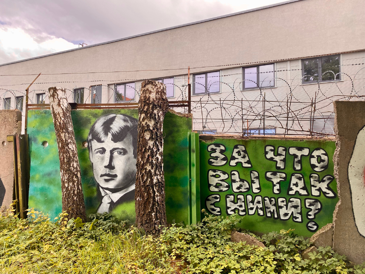 Пожалели спиленные березы