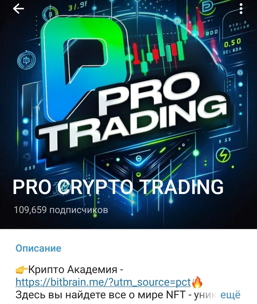 Телеграмм-канал Pro Trading – обзор проекта по трейдингу