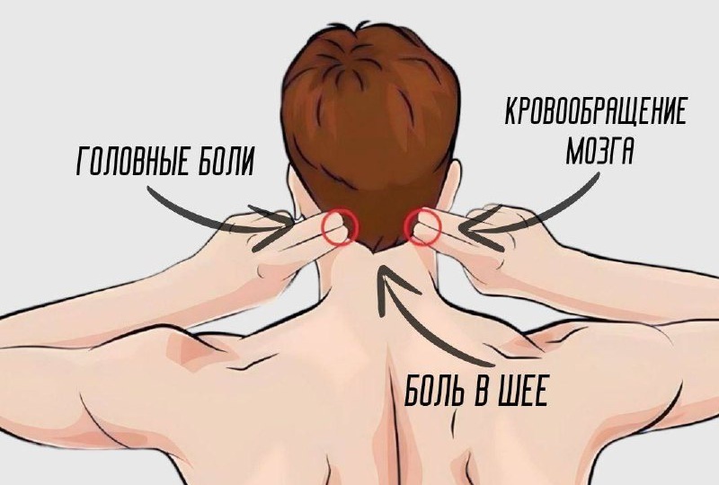 Весь стресс собирается в этих местах. Массаж этих точек снимает напряжение и помогает избавиться от мигрени