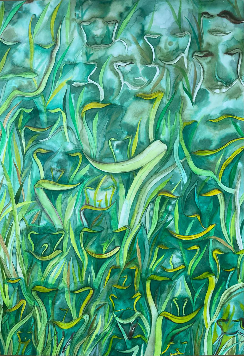    «Улыбающаяся трава випассаны», 2024 год