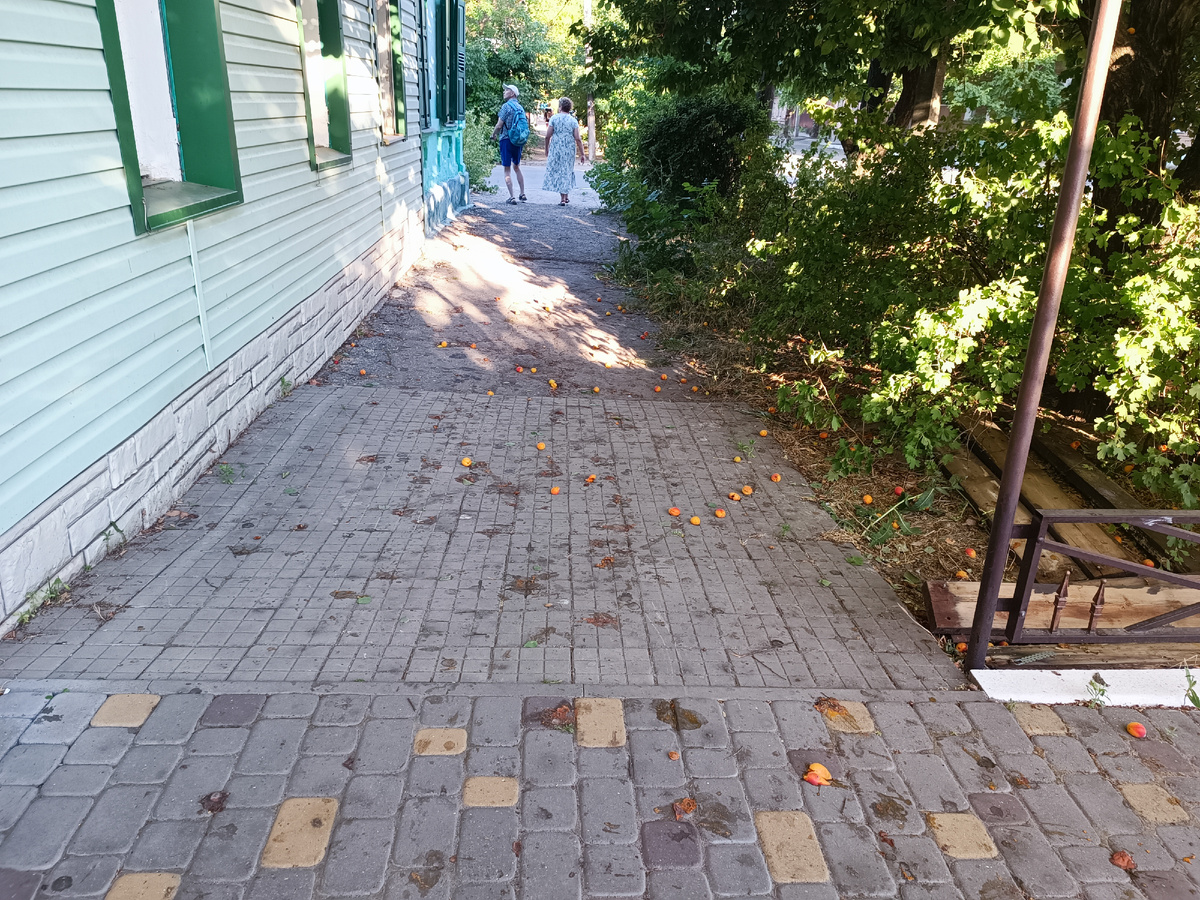 Везде на тротуарах - компот из абрикосов, сменивший компот из черешни🤣