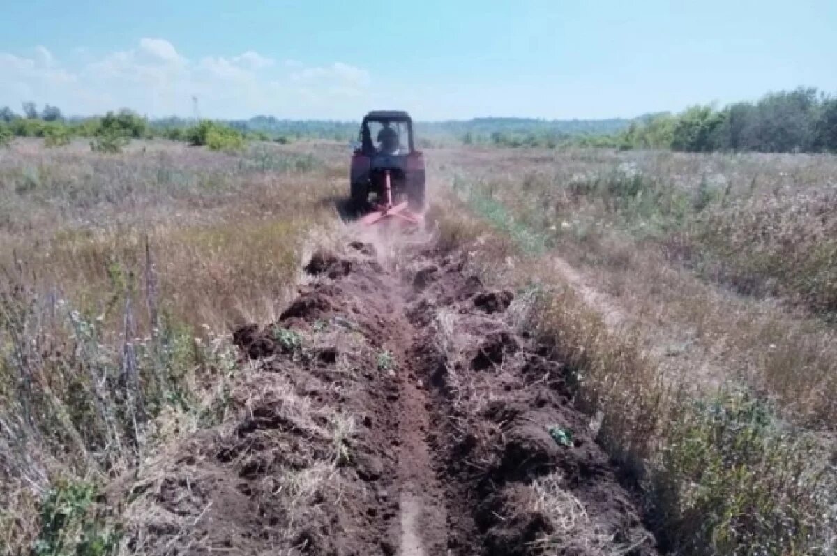    В Ульяновске проведут повторную противопожарную опашку пригородной зоны