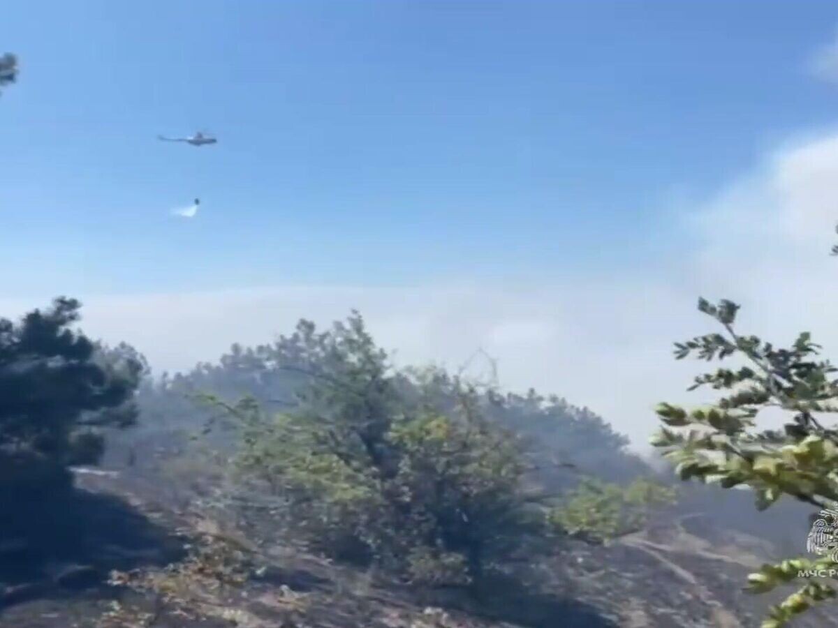    Тушение лесного пожара под Судаком в Крыму© МЧС РФ