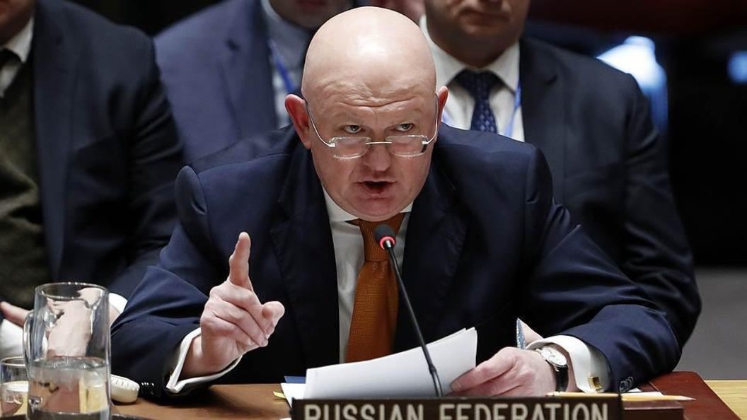    Василий Небензя. Фото: MFA Russia/Globallookpress