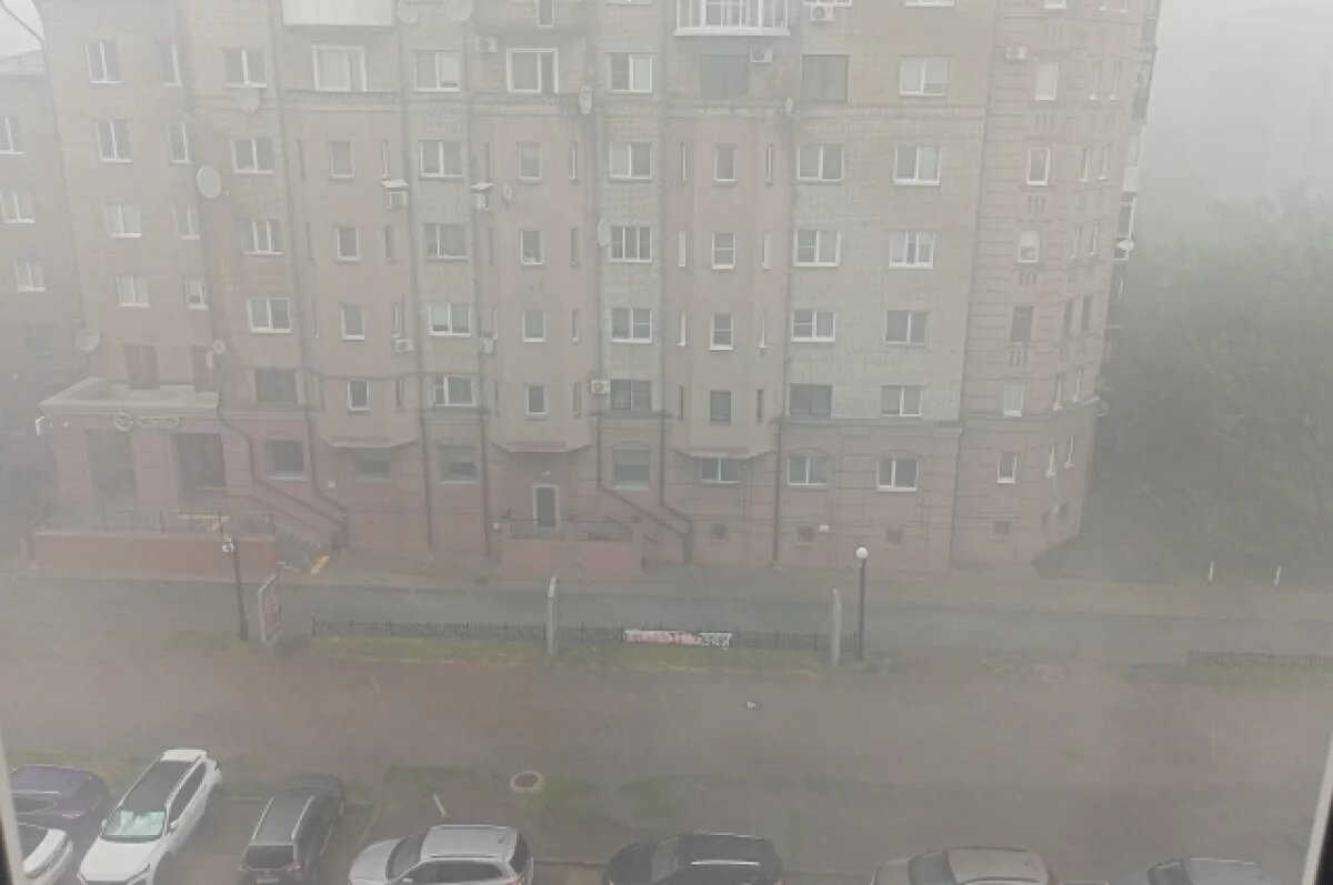    В Омске начался сильный ливень с грозой и крупным градом